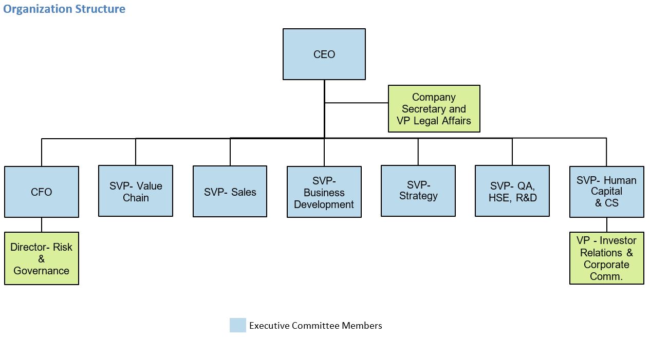 Corporate Management Structure Chart